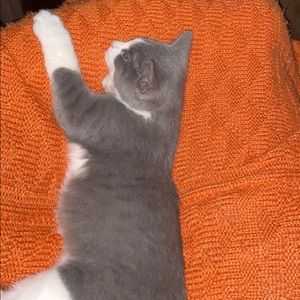 Meet your Posher, Ann-sophie